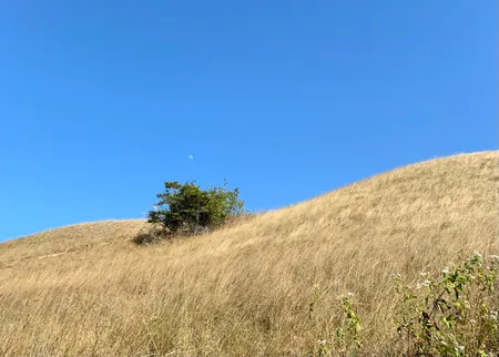 An Insider's perspective on Design in Tech 2024